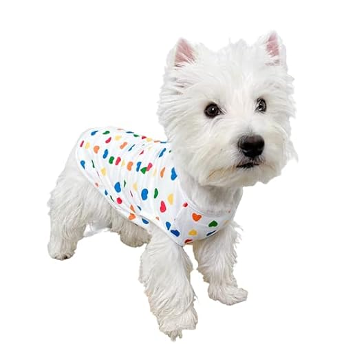 Happy Summer Shirt für Welpen, Strapsshirt, helle Farbe, Schnürung, Hundeweste, Katzenkleidung, kleine, mittelgroße Hunde, Katzen, Tank Top (mittlere Größe für 2,5–4 kg Haustiere, Regenbogenherz) von IMDOUBLEDOU