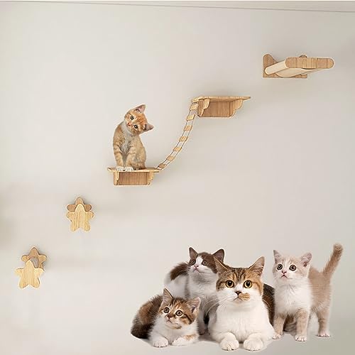 Katzen Kletterwand, Kletterwand Katzen, Katzen Wand Klettern, Kitten Activity Center, Eiche, Platzsparend, Einfache Installation (Size : B3) von IMIDIA