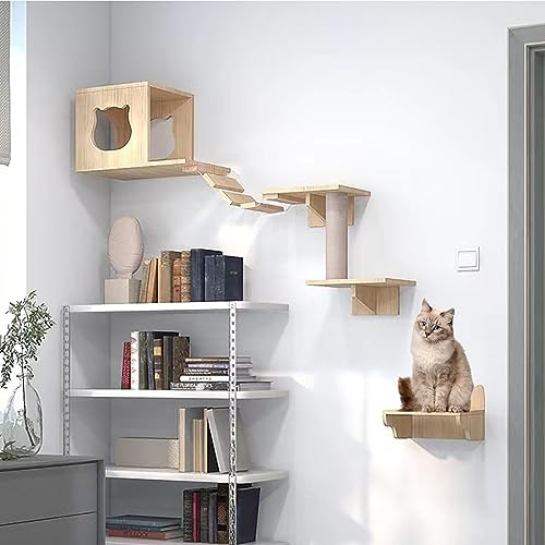 Katzen Kletterwand, Kletterwand Katzen, Katzen Wand Klettern, Kitten Activity Center, Eiche, Platzsparend, Einfache Installation (Size : B5) von IMIDIA