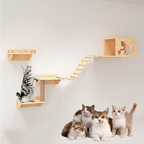 Kletterwand Katzen, Kratzbaum Wand, Katzenwand, Katzen-Wandregale, Platzsparend, zum Klettern, Schlafen, Spielen (Size : B1-6PCS) von IMIDIA