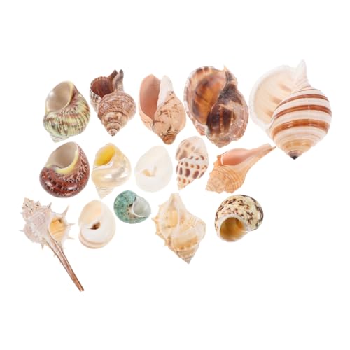 IMIKEYA 15 Stück Teiliges Bunter Muscheln Natürliche Meeresmuscheln für Aquarien Dekoration DIY Bastelprojekte Vase Füller für Krabbenlebensräume und Küsten IMIKEYA 15 Stück Teiliges Bunter Muscheln Natürliche Meeresmuscheln für Aquarien Dekoration DIY Bastelprojekte Vase Füller für Krabbenlebensräume und Küsten von IMIKEYA