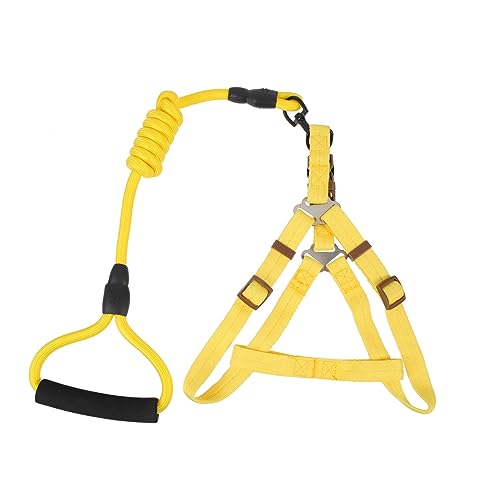 IMIKEYA 1Satz Hundegeschirr Für Verstellbar Und Farbenfroh Nylon Leine Für Training Großen Hunden Und Langlebig von IMIKEYA