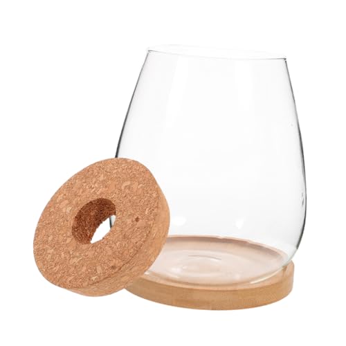 IMIKEYA 1Satz Landschaft Terrarium Glasflasche mit Bambusdeckel Ökologische Pflanze für Moos und Pflanzen Dekorativer Behälter für Langlebig von IMIKEYA