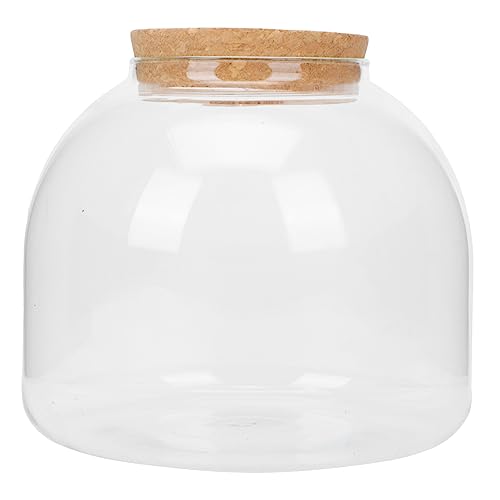 IMIKEYA 1Satz Mikrolandschaftsflasche Dekorative DIY Flasche für Moosgärten Terrarien und Pflanzenarrangements für Schreibtisch oder Wohnraumdekoration IMIKEYA 1Satz Mikrolandschaftsflasche Dekorative DIY Flasche für Moosgärten Terrarien und Pflanzenarrangements für Schreibtisch oder Wohnraumdekoration von IMIKEYA
