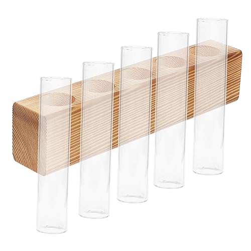 IMIKEYA 1Satz Pflanzenvermehrungsrohre Transparentes Terrarium Für Pflanzen Für Blumenarrangements Mit Reagenzgläsern Und Reagenzglasbürste von IMIKEYA