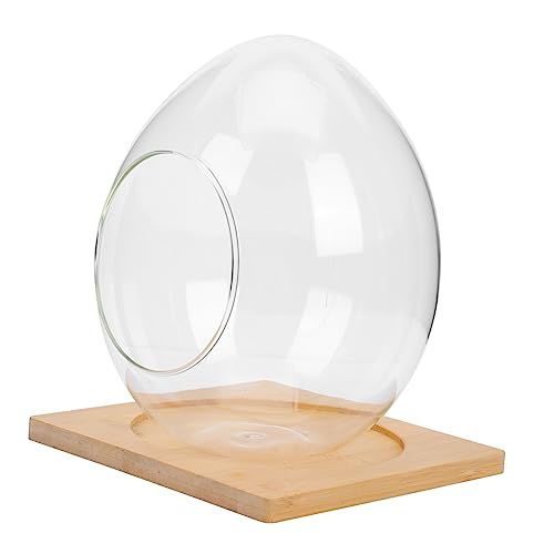 IMIKEYA 1Satz Terrarium mit Holzsockel DIY Ökologisches Pflanzenglas für Sukkulenten und Moos Dekorative Flasche für Wohnkultur und Geschenkideen von IMIKEYA