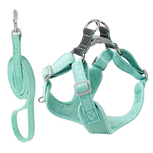 IMIKEYA 1Satz Verstellbares Hundegeschirr Und Leine Für Kleine Langlebig Entzugs Design Atmungsaktives Material Bequem Für Alltagsspaziergänge Teiliges von IMIKEYA