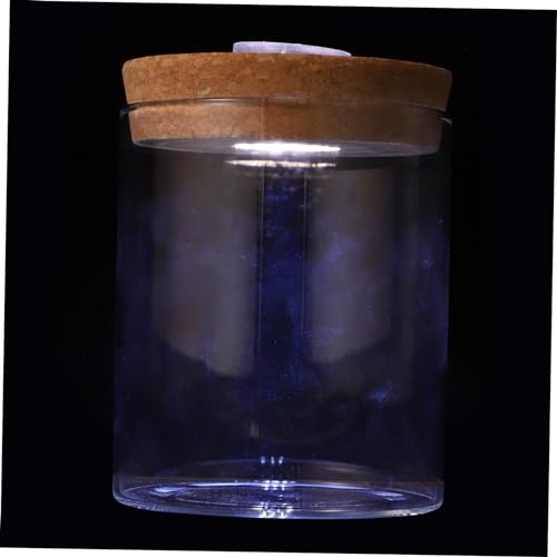 IMIKEYA 2 STK Landschaftsflasche Luftdichter Behälter Saatgefäße Flasche Mit Led-licht Dekorative Glasvase Zuckerbehälter Mikro Glas Mit Hohem Borosilikatgehalt Weiß Zylindrisch Aquarium von IMIKEYA