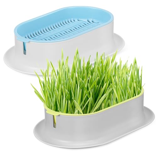IMIKEYA 2Stücke Katzengras Pflanzgefäß Platzsparender Topf Robustem für Kleine Wohnungen Gesunde Snacks für Katzen IMIKEYA 2Stücke Katzengras Pflanzgefäß Platzsparender Topf Robustem für Kleine Wohnungen Gesunde Snacks für Katzen von IMIKEYA