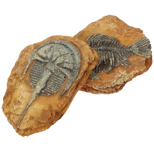 IMIKEYA 2Stücke Reptilien Dekoration Für Terrarium Lebensechte Fossilien Ornamente Aus Hochwertigem Harz Für DIY Und Wohnkultur Sicher Für Kleine Haustiere von IMIKEYA