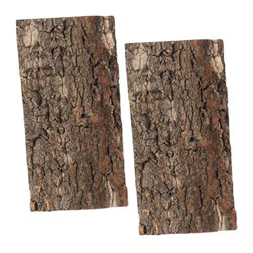 IMIKEYA 2Stücke Terrarium Kork Dekoration Natürliche Reptilienrinde Für Reptilienbehälter Korkbaum Für Aquarien Und Terrarien Pflanzenwände Und Tierverstecke von IMIKEYA