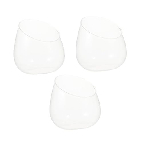 IMIKEYA 3 Stück Schräg Geschnittene Glasflaschen für Mikro landschaften Vielseitige Terrarien Flaschen für Sukkulenten Dekorative Glasgefäße als Tischdeko und Geschenkideen von IMIKEYA