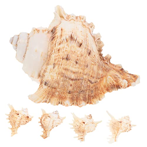 IMIKEYA 5 Stück Teiliges Blumentopf für Tischdekoration Natürliche Dekoration für Aquarien und Wohnräume für Sukkulenten und Pflanzen von IMIKEYA