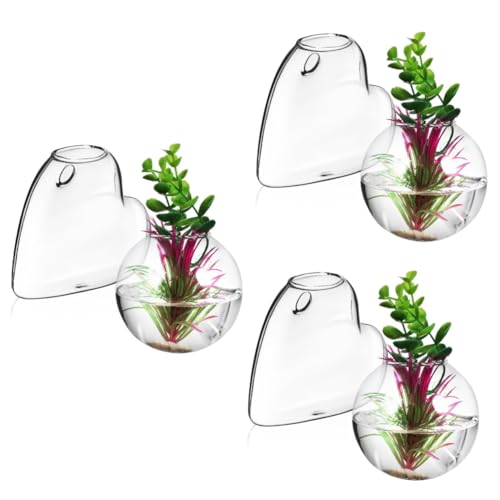 IMIKEYA 6 STK Glasvase Halter Für Wasserpflanzen Fischglas An Der Wand Wandvase Für Blumen Ausbreitung Wandbehang Hängendes Terrarium Ausbreitungsstationen Glas Mit Hohem Borosilikatgehalt von IMIKEYA