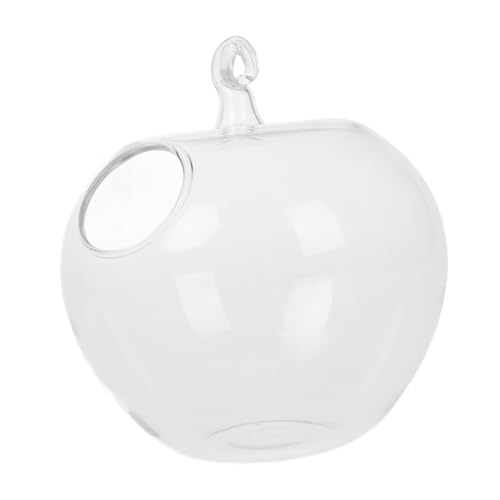 IMIKEYA Apfel Form Fischbecken Transparentes Aquarium für Betta Fische und Wasserpflanzen und Wanddekor für Büro und Zuhause IMIKEYA Apfel Form Fischbecken Transparentes Aquarium für Betta Fische und Wasserpflanzen und Wanddekor für Büro und Zuhause von IMIKEYA