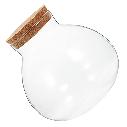 IMIKEYA Dekorative Glaslandschaftsflasche Mit Korkverschluss Mikrolandschaft Für DIY Projekte Und Für Pflanzenliebhaber IMIKEYA Dekorative Glaslandschaftsflasche Mit Korkverschluss Mikrolandschaft Für DIY Projekte Und Für Pflanzenliebhaber von IMIKEYA