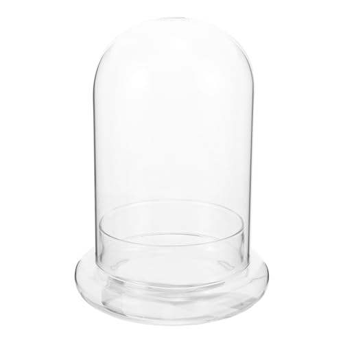 IMIKEYA Glas-Cloche-Ausstellungskuppel mit Standfuß Dekorative Kleine Glasglocke Terrarienkuppel Flaschen für Pflanzen Medaille Fotos Sammlerstücke Spielzeuge L IMIKEYA Glas-Cloche-Ausstellungskuppel mit Standfuß Dekorative Kleine Glasglocke Terrarienkuppel Flaschen für Pflanzen Medaille Fotos Sammlerstücke Spielzeuge L von IMIKEYA