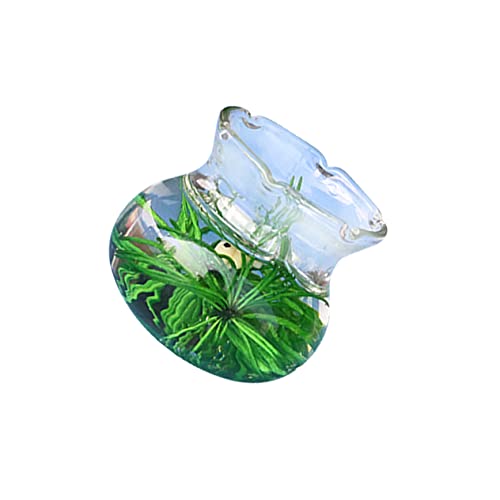 IMIKEYA Miniatur Glas Fischglas Miniatur Szene Dekor Mini Haus Accessoire Fischschale Modell Schmuck Zubehör IMIKEYA Miniatur Glas Fischglas Miniatur Szene Dekor Mini Haus Accessoire Fischschale Modell Schmuck Zubehör von IMIKEYA