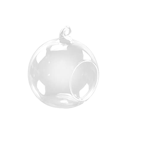 IMIKEYA Hängende Glasvase Für Pflanzen Transparentes Terrarium Rund Für Mikro- Und Luftpflanzen Stilvolle Dekoration Für Zuhause Und Büro IMIKEYA Hängende Glasvase Für Pflanzen Transparentes Terrarium Rund Für Mikro- Und Luftpflanzen Stilvolle Dekoration Für Zuhause Und Büro von IMIKEYA