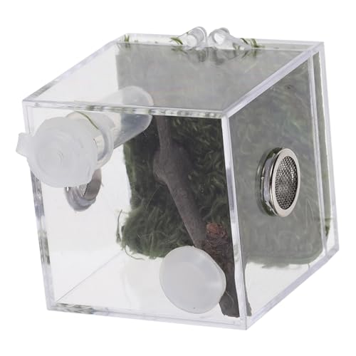 IMIKEYA Haustiere Transparente Futterbox Und Zuchtbehälter Für Spinnen Und Reptilien Kleine Ausstellungsbox Für Haltung Und Pflege von IMIKEYA