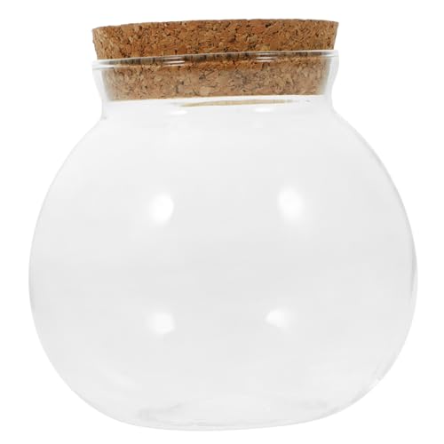 IMIKEYA Hydrokulturvase DIY Terrarium für Pflanzen und Sukkulenten Dekorative Mikrolandschaft Flasche für Wohnzimmer und Garten Platzsparend und Vielseitig von IMIKEYA