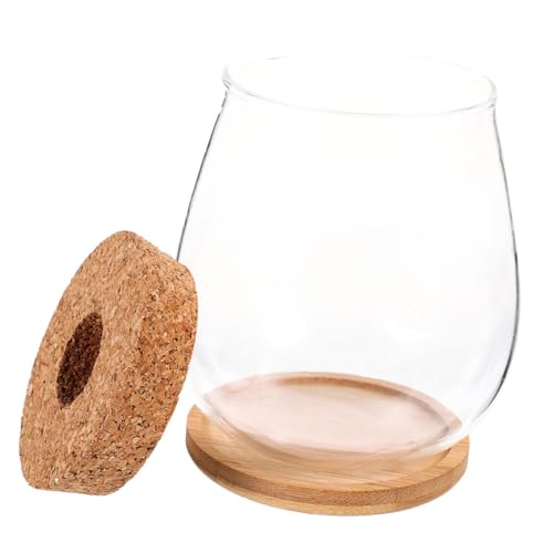 IMIKEYA Hydroponische Glasvase Mit Matte Transparente Mikrolandschaft Fischschale Dekorative Klare Blumenvase Innenpflanzen -Terrarium Für Home Office Restaurant von IMIKEYA