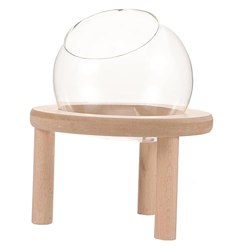 IMIKEYA Kleine Sandbadkiste für Hamster und Meerschweinchen Haustierzubehör mit Multifunktionalem Design für Bad und Toilette Transparentes IMIKEYA Kleine Sandbadkiste für Hamster und Meerschweinchen Haustierzubehör mit Multifunktionalem Design für Bad und Toilette Transparentes von IMIKEYA