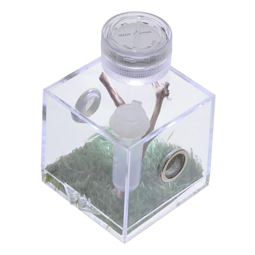 IMIKEYA Kleine Spinnenlebensraum Box Mit Zuchtträger Für Springspinnen Brutschachtel Und Hygrometer Für Kleine Haustiere Wie Skorpione Reinigen von IMIKEYA