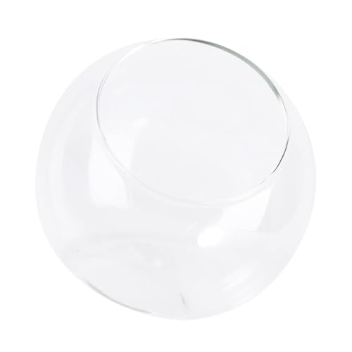 IMIKEYA Micro Terrarium Glasflasche Øcm Praktisches Handliches Pflanzgefäß aus Klarem Glas für Miniatur Landschaften Sukkulenten und Ökologische Dekoration im Wohnbereich IMIKEYA Micro Terrarium Glasflasche Øcm Praktisches Handliches Pflanzgefäß aus Klarem Glas für Miniatur Landschaften Sukkulenten und Ökologische Dekoration im Wohnbereich von IMIKEYA