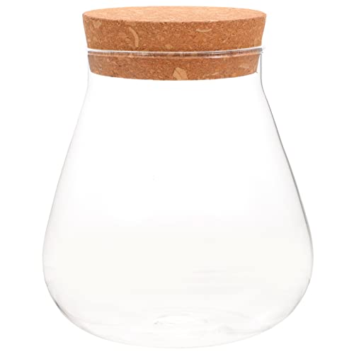 IMIKEYA Ökologische Mikrolandschaftsflasche Pflanzflasche Mini ökologisches Aquarium Wohnkultur lagercontainer vitroleros para Mini Sukkulenten Pflanzenbehälter aus Moos von IMIKEYA