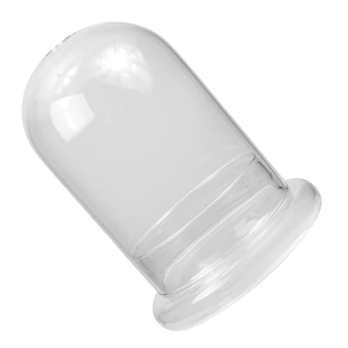 IMIKEYA Ökologische Mikrolandschaftsflasche Tischterrarium hydroponische Pflanzervase Dekoration Schlafzimmer Bedroom Decor Tischdekorationen Esstischdekoration ökologische Flasche IMIKEYA Ökologische Mikrolandschaftsflasche Tischterrarium hydroponische Pflanzervase Dekoration Schlafzimmer Bedroom Decor Tischdekorationen Esstischdekoration ökologische Flasche von IMIKEYA