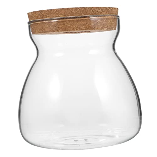 IMIKEYA Ökologische Mikrolandschaftsflasche hydroponische Pflanzen Terrarienglas Pflanzenvermehrungsstation zimmerpflanzen Terrarienbehälter aus Glas kleines Terrarium hölzern Transparent von IMIKEYA