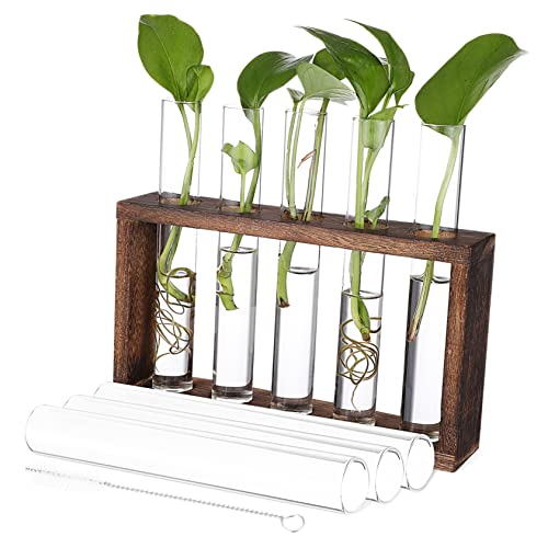 IMIKEYA Pflanzen Terrarium Mit Reagenzgläsern Hydrokultur Pflanzenbehältern Und Reinigungsbürste Für Tischdeko Und Wandgestaltung von IMIKEYA