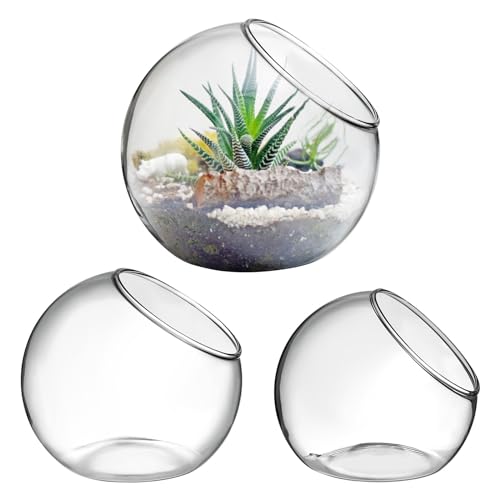 IMIKEYA Pflanzenterrarium-Display: 3 Stück Glas-Terrarium-Behälter Sukkulenten Luftpflanzgefäß Schale Vasen Glasvase Blumen-Pflanzgefäß Klar Desktop Glas Pflanzer Globus Microlandschaft von IMIKEYA