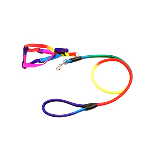 IMIKEYA Regenbogenfarbige Hundeleine für Kleine Einstellbares Brustgeschirr Langlebiges Haustierausstattung für und Aktivitäten IMIKEYA Regenbogenfarbige Hundeleine für Kleine Einstellbares Brustgeschirr Langlebiges Haustierausstattung für und Aktivitäten von IMIKEYA