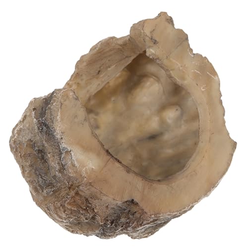 IMIKEYA Reptilienhöhle aus Harz für Schildkröten Versteck und Sonnenplattform für Bartagamen Langlebig zu Reinigen Sicheres Habitat für Reptilien und Aquarien Dekoratives von IMIKEYA