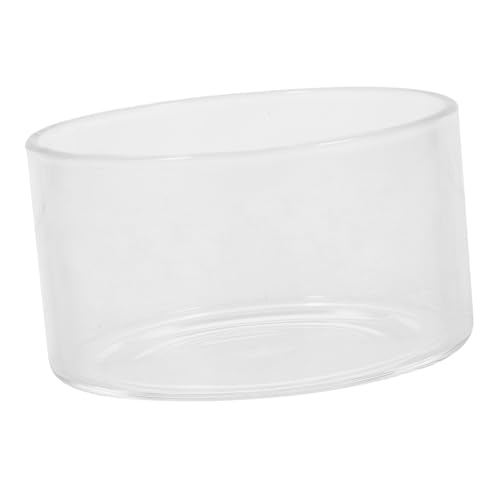 IMIKEYA Terrarium Glasbehälter Pflanzenlandschaft Hochborosilikatglas Für Dekoration Höhe Garten von IMIKEYA