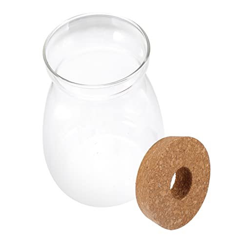 IMIKEYA Terrarium Glasgefäß Für Hydroponische Pflanzen Großes Transparentes Ökosystem Mit Deckel Für Indoor-Dekoration Für Pflanzen Muscheln Und Deko-Elemente IMIKEYA Terrarium Glasgefäß Für Hydroponische Pflanzen Großes Transparentes Ökosystem Mit Deckel Für Indoor-Dekoration Für Pflanzen Muscheln Und Deko-Elemente von IMIKEYA