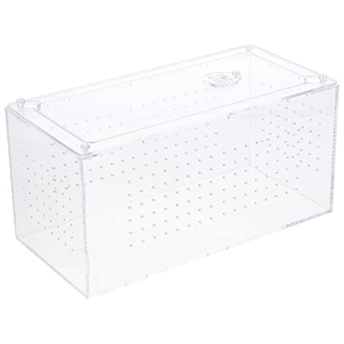 IMIKEYA Transparente Reptilienbox mit Belüftungsöffnungen Tragbarer Futterbehälter für Spinnen Eidechsen Schildkröten und Frösche Hochwertige Reptilienhaltung IMIKEYA Transparente Reptilienbox mit Belüftungsöffnungen Tragbarer Futterbehälter für Spinnen Eidechsen Schildkröten und Frösche Hochwertige Reptilienhaltung von IMIKEYA