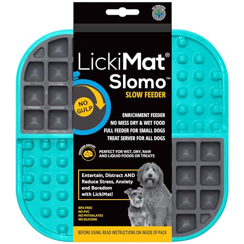 INDUSTRIPET LICKIMAT Slomo Türkis von LICKIMAT