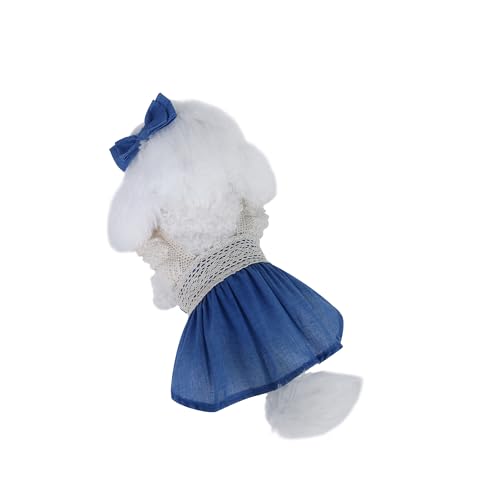 INGSIST Hunde-Designer-Outfit mit Spitze, Größe XS, S, M, L, XL, S, M, L, XL, für Mädchen, Welpen, Haustiere, Geburtstagskleidung, Kleider, Blau INGSIST Hunde-Designer-Outfit mit Spitze, Größe XS, S, M, L, XL, S, M, L, XL, für Mädchen, Welpen, Haustiere, Geburtstagskleidung, Kleider, Blau von INGSIST