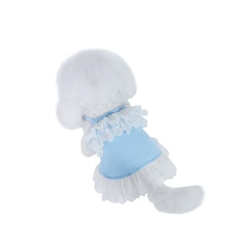 INGSIST Hunde-Outfit aus Spitze, Blau, Größe XS, S, M, L, XL, S, M, L, XL, für Hündinnen, Mädchen, Welpen, Haustier, Geburtstag, Urlaub Kleider INGSIST Hunde-Outfit aus Spitze, Blau, Größe XS, S, M, L, XL, S, M, L, XL, für Hündinnen, Mädchen, Welpen, Haustier, Geburtstag, Urlaub Kleider von INGSIST