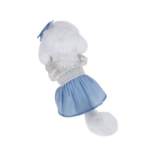 INGSIST Hunde-Outfit aus Spitze, für kleine und mittelgroße Hunde, für Urlaub, Geburtstag, Party, Größe XS, S, M, L, XL INGSIST Hunde-Outfit aus Spitze, für kleine und mittelgroße Hunde, für Urlaub, Geburtstag, Party, Größe XS, S, M, L, XL von INGSIST