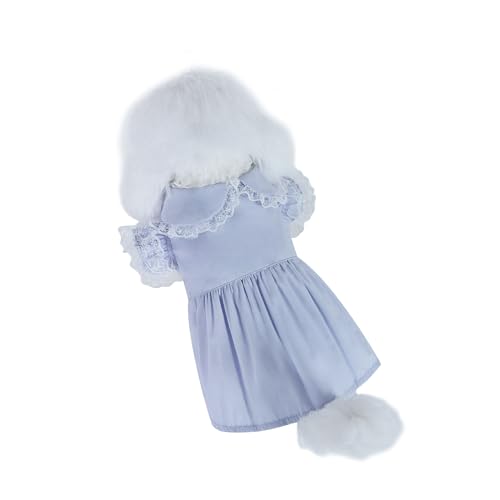 INGSIST Hunde-Outfit für Geburtstagsparty, Urlaub, Kleidung, weiblich, Mädchen, Größe S, M, L, XL INGSIST Hunde-Outfit für Geburtstagsparty, Urlaub, Kleidung, weiblich, Mädchen, Größe S, M, L, XL von INGSIST