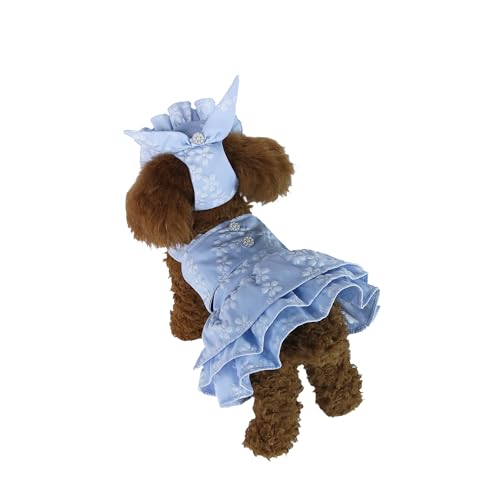 INGSIST Hunde-Outfit mit blauen Blumen und Rüschen, für Damen, Mädchen, Größe S, M, L, XL INGSIST Hunde-Outfit mit blauen Blumen und Rüschen, für Damen, Mädchen, Größe S, M, L, XL von INGSIST
