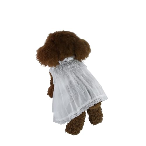INGSIST Hunde-Sweatkleid, weiß, Tüll, Spitze, für Mädchen, kleine Welpen, Geburtstagsparty, Sweatkleid, Größe XS, S, M, L, XL INGSIST Hunde-Sweatkleid, weiß, Tüll, Spitze, für Mädchen, kleine Welpen, Geburtstagsparty, Sweatkleid, Größe XS, S, M, L, XL von INGSIST