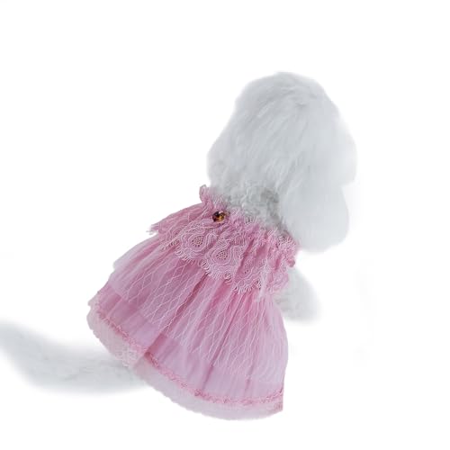 INGSIST Rosa Spitzen-Outfit für Hündinnen, Mädchen, Größe S, M, L, XL INGSIST Rosa Spitzen-Outfit für Hündinnen, Mädchen, Größe S, M, L, XL von INGSIST