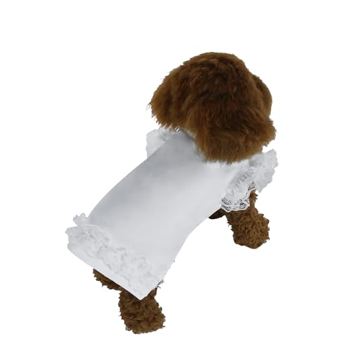 INGSIST Weißes Hunde-Outfit mit Spitze, für Mädchen und kleine Welpen, Geburtstag, Party, Hochzeit, Kleidung, Größe XS, S, M, L, XL INGSIST Weißes Hunde-Outfit mit Spitze, für Mädchen und kleine Welpen, Geburtstag, Party, Hochzeit, Kleidung, Größe XS, S, M, L, XL von INGSIST