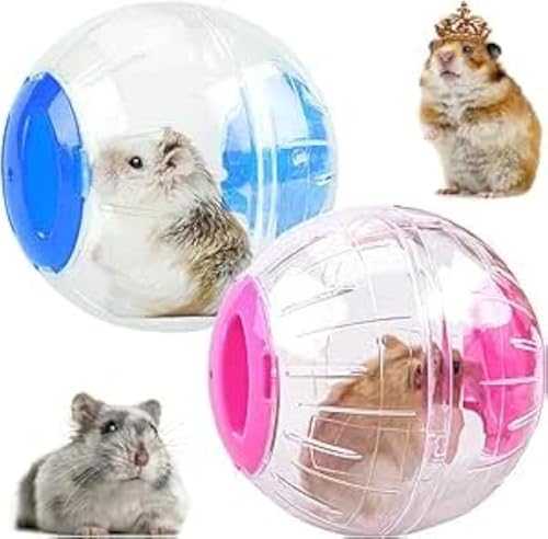 INHEMING Hamster-Trainingsball, transparent, für kleine Tiere, Joggingball, Spielzeug, Käfigzubehör für Zwerghamster, kleine Haustiere, 2 Stück von inheming