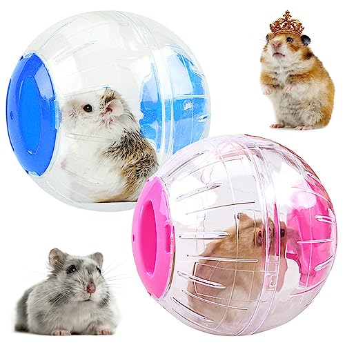 INHEMING 2 Stück Hamsterball Hamster Laufball Hamsterkugel Transparent Hamster Übung Ball Laufkugel Joggingball Kleintiere Spielzeug für Hamster & Mäuse, Bewegung, Nagerspielzeug zum Laufen (Ø 12 cm) INHEMING 2 Stück Hamsterball Hamster Laufball Hamsterkugel Transparent Hamster Übung Ball Laufkugel Joggingball Kleintiere Spielzeug für Hamster & Mäuse, Bewegung, Nagerspielzeug zum Laufen (Ø 12 cm) von inheming